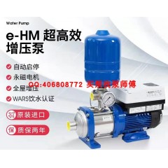 Xylem水泵 赛莱默增压泵  飞力潜水泵  lowara离心泵 屏蔽泵